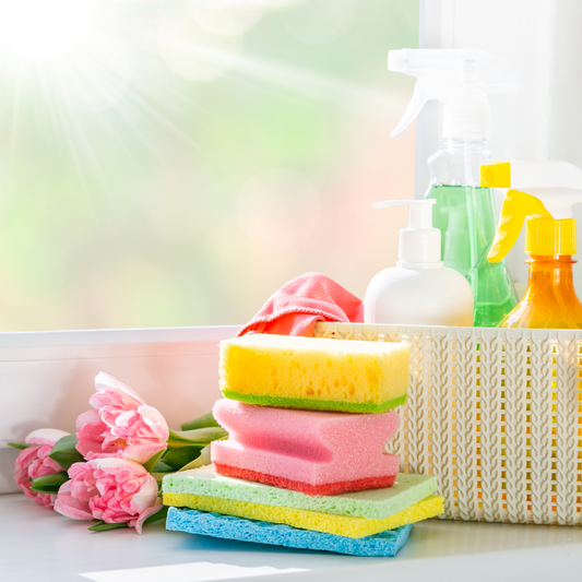 spring clean DLI Consumer Blog